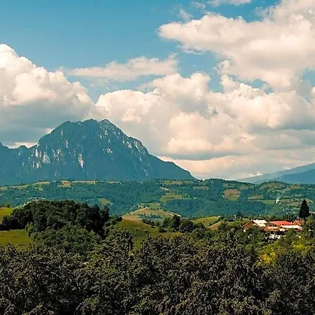 Conacul Elenei Отель Брашов
